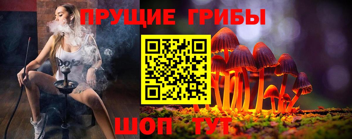 Псилоцибиновые грибы GOLDEN TEACHER  Вход с VPN  Коммунар 